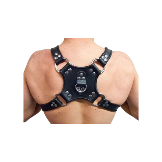 Mister B Leder-Walking-Harness – Black/Black