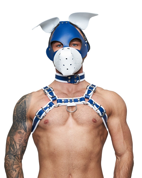 Mister B Leather Circuit Floppy Dog Hood – Blue White