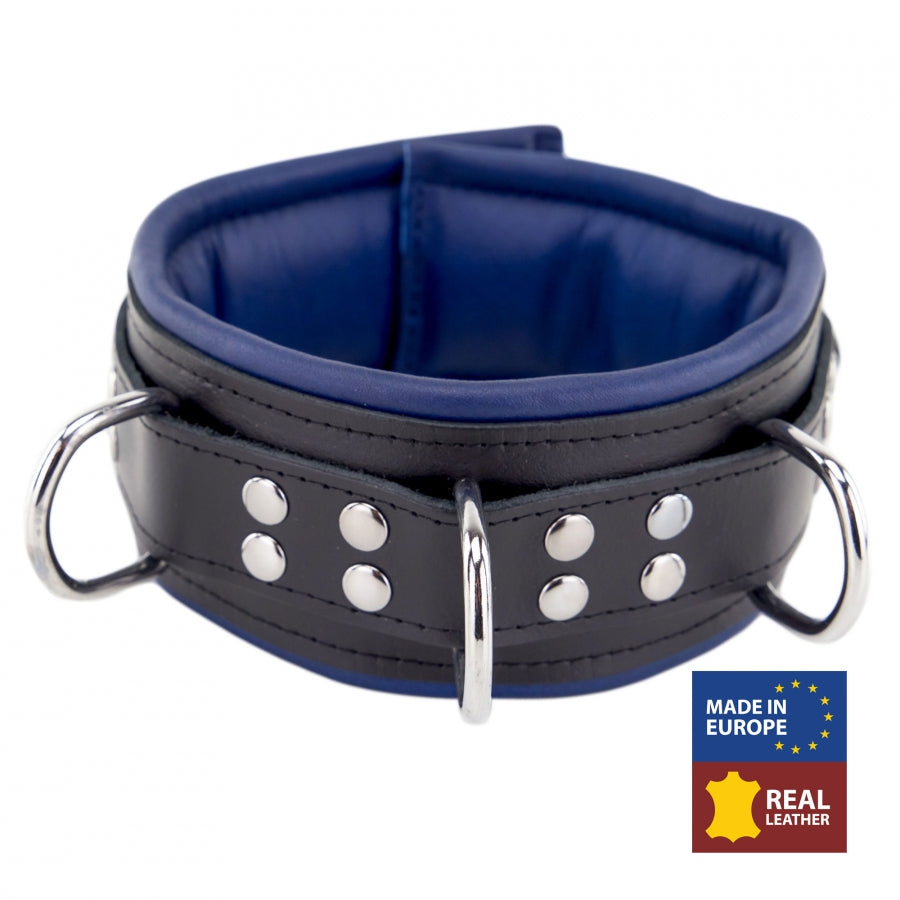 Lederhalsband - gepolstert - 3 D-Ringe - Schwarz/Blau